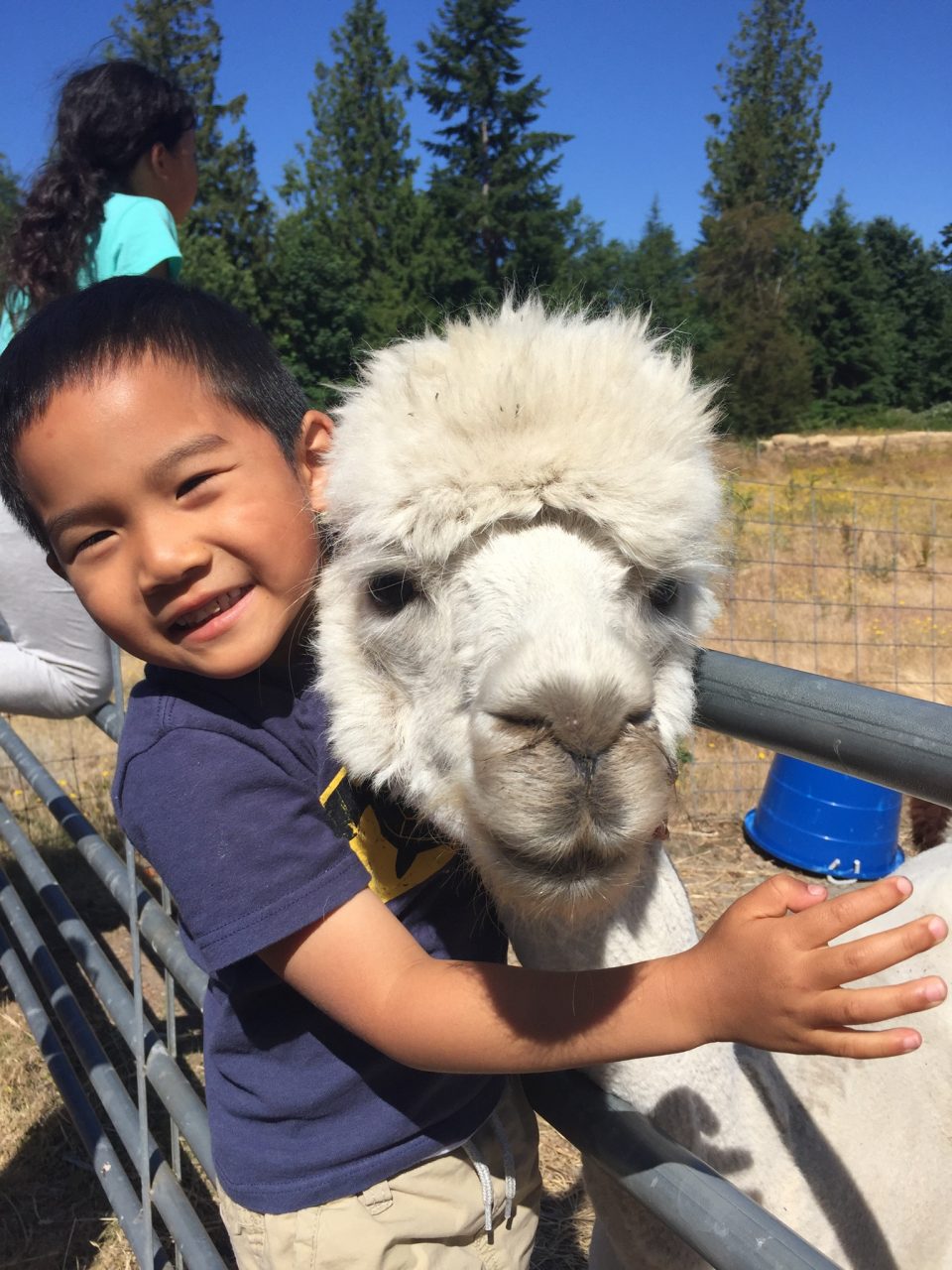 Ananda Farm Kids Camp - Image 5